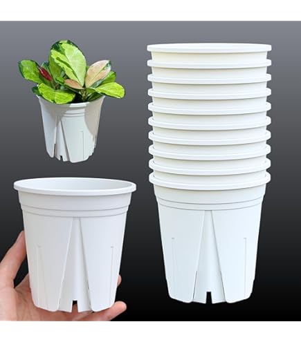 Amazon.co.jp: スリット鉢 プラ鉢 7.5cm 白（ホワイト） 10個 : DIY