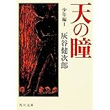 天の瞳 少年編I (角川文庫)