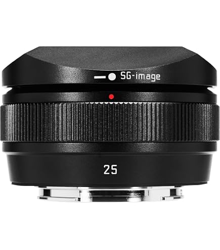 MEIKE 25mm F1,8 レンズ(単焦点) Amazon.co.jp: Meike 25mm F1.8 レンズ Sony E-Mount ソニーE用