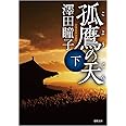 孤鷹の天 下 (徳間文庫 さ 31-6)