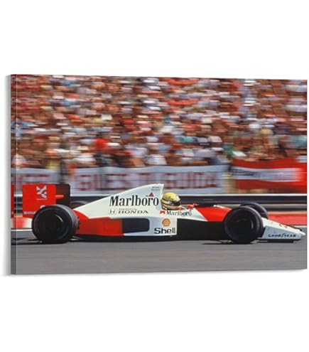 アイルトンセナ 認証付きアート Automobilist | アイルトン・セナ財団公認によるグラフィカル