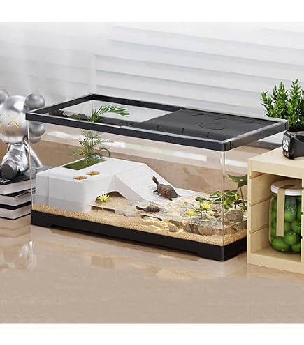 Amazon | ジェックス カメ元気 かんたん飼育セットST | GEX | 飼育