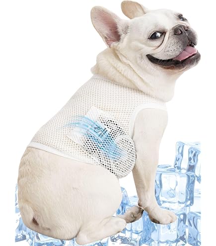 Amazon | GLULU AIR COOL WAN 犬用空調ウェア、ペット用冷却服、熱中症