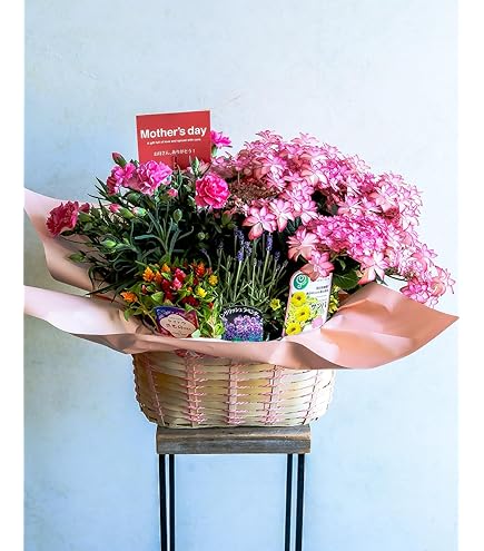 母の日にも♪ 寄せ植え　花■大人可愛いバスケット Amazon｜母の日 ギフト 母の日専用 季節の寄せ鉢 寄せカゴ お任せ種類