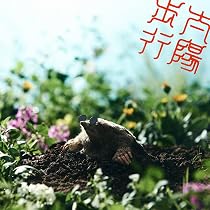 Amazon.co.jp: ズーカラデル: ミュージック