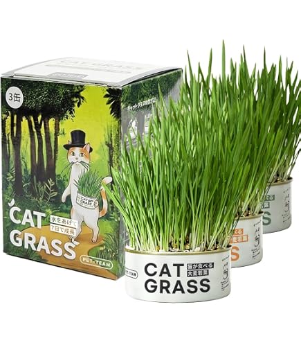 Amazon | Petllgood 猫草スナック 60g 乾燥猫草スナック 100%天然成分