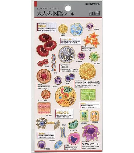 い*ふ様 コミックボンボンスペシャル 26 最強シール軍団カラー完全大図鑑 Amazon | 最強シール軍団 カラー完全大図鑑 コミックボンボン