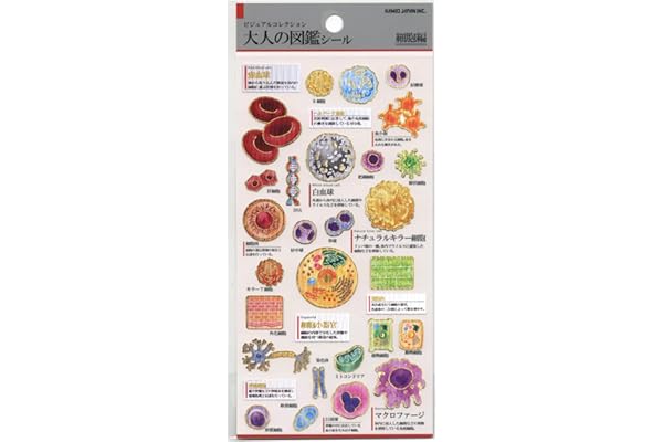 カミオジャパン シール 大人の図鑑シール 細胞 228109