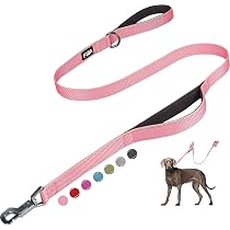 Amazon | AKAGIICHI 犬 首輪 革 犬用ベーシック首輪 調節可能 ペットの