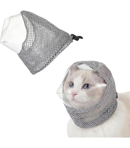 Amazon.co.jp: なめ猫 レトロ なめんなよ猫 下敷き 紫 ！ : ペット用品