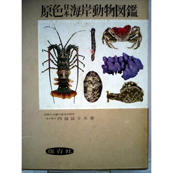 原色検索日本海岸動物図鑑 1 | 西村 三郎 |本 | 通販 | Amazon