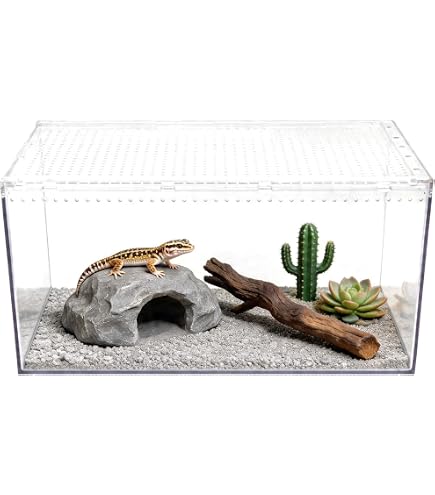 Amazon | 三晃商会 SANKO レプタイルボックス ワイド | Sanko | 飼育