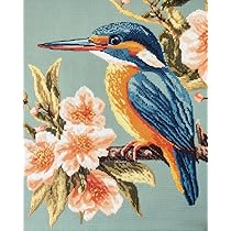 71lNVk924xL._AC_UL210_SR210,