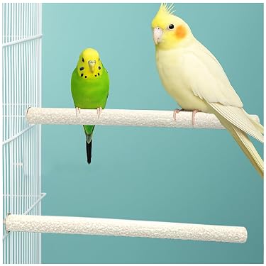 Amazon.co.jp 売れ筋ランキング: 鳥用止まり木 の中で最も人気のある