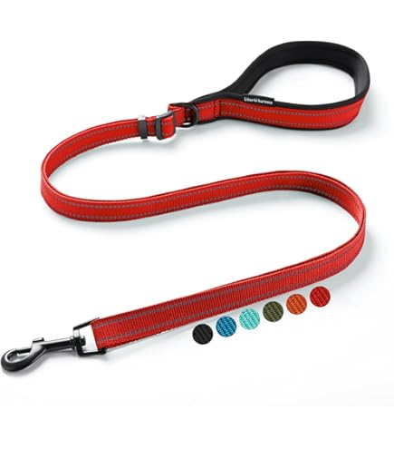 オーボエリード用シェーパーティップ Amazon.co.jp: リーガー : オーボエリード用シェーパーティップ No.3