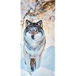 オオカミ iPhone 15,14,13,12,11,X 壁紙(1125x2436) Wolves 2023: Kalender 2023 オオカミ iPhone 15,14,13,12,11,X 壁紙(1125x2436) Wolves 2023: Kalender 2023