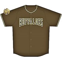 DESCENTE - オリックスバファローズ福田選手2022夏の陣ユニフォーム Buffaloesハイクオリティユニフォーム（夏の陣） | オリックス