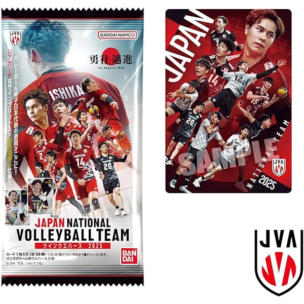 バレー男子日本代表 ROAD TO PARIS ワールドカップバレー2023 男子日本代表 ROAD TO PARIS(Blu-ray Disc