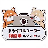Aqteria ドライブレコーダー録画中 マグネット ステッカー 柴犬 車用 14.3×10.7cm 日本製 防水