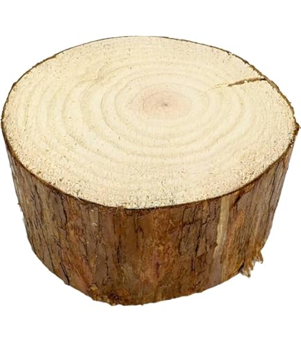 Amazon.co.jp: 天然木の台座 ディスプレイスタンド スギの木 切り株 約