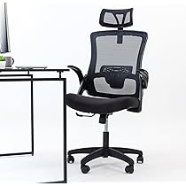 NEOCHAIR オフィスチェア デスクチェア メッシュ 丸みが可愛い Amazon | 【体圧分散×低反発クッション】NEOCHAIR オフィスチェア