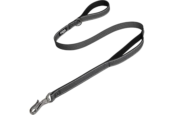 best dog leash amazon