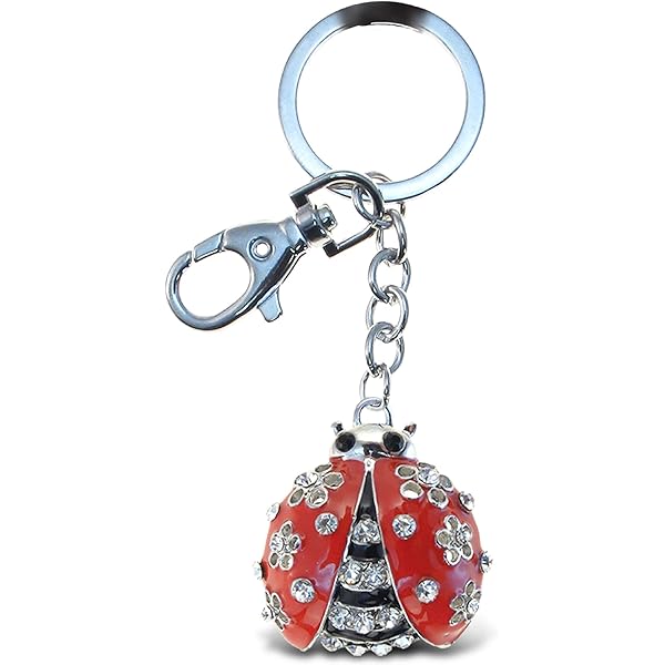Vonluxy Inspirational Keychain For Women | Personalized Stainless Steel Gift With Crown Charm