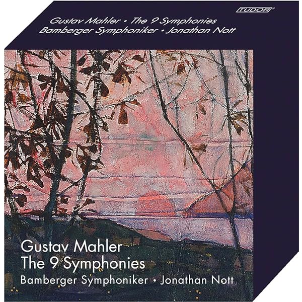 Amazon.co.jp: マーラー:交響曲第9番ニ長調(SACDハイブリッド