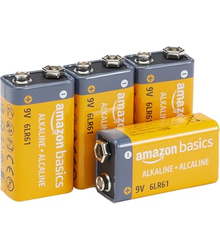 Amazon | パナソニック 9V形アルカリ乾電池 2本パック×2セット(計4電池