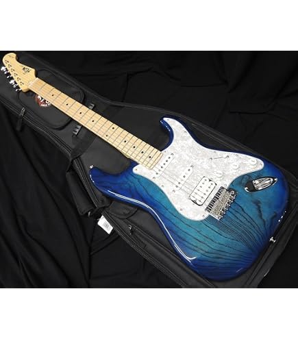 Amazon | FUJIGEN JOS2-FM-R/01 JBT エレキギター フジゲン | エレキ