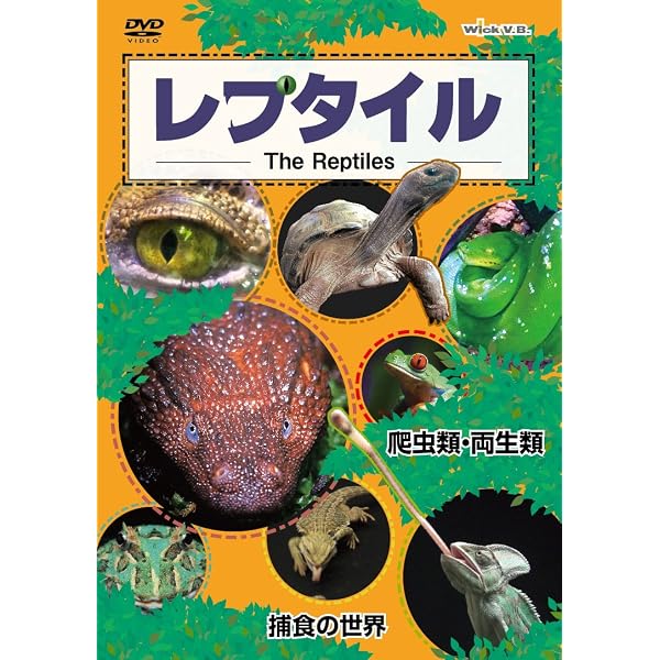Amazon.co.jp: BBC 爬虫類の世界 DVD-SET : フィル・チャップマン: DVD