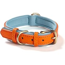 71lmrkzReJL._AC_UL210_SR210,