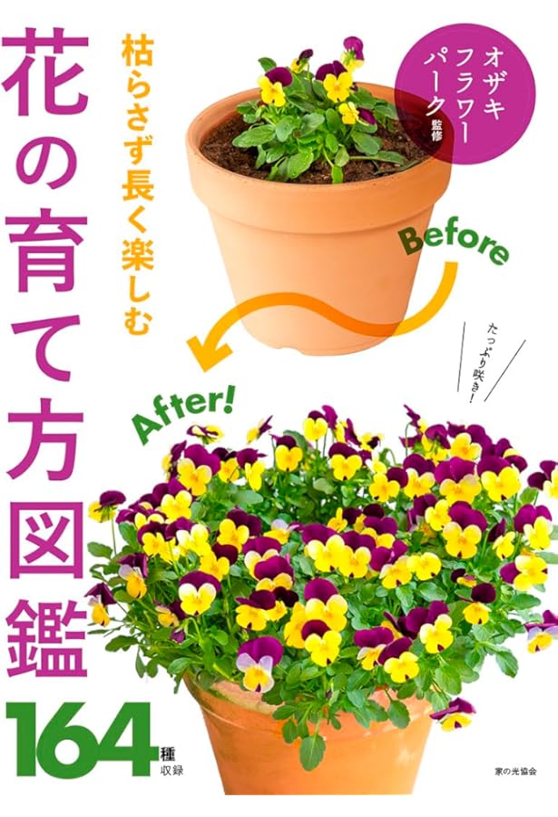 園芸大百科 新装版 (Boutique books) | 田中 幸雄 |本 | 通販 | Amazon