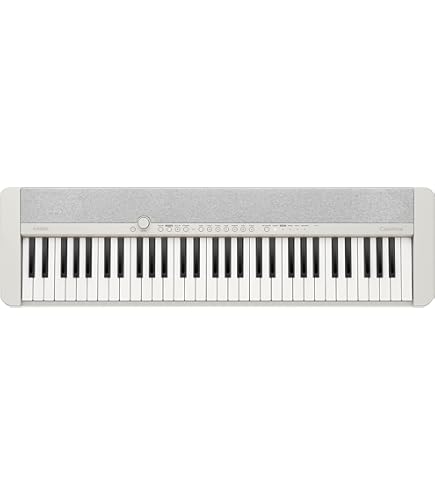 Alesis HARMONY54 61鍵キーボード 電子ピアノ アレシス Alesis Harmony54 多機能でコンパクトな54鍵盤電子ピアノ