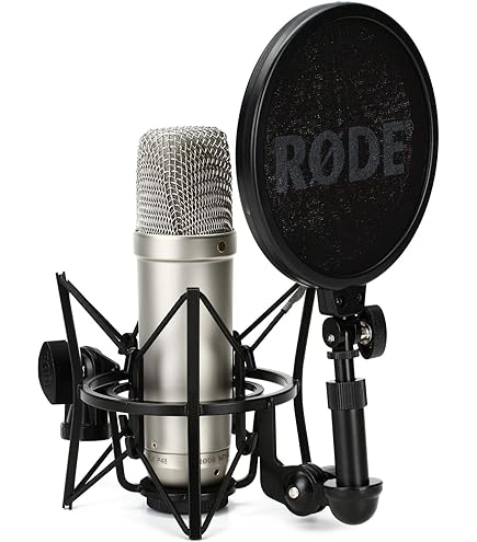 NT2000 RODE コンデンサーマイク美品 RODE(ロード) NT2000 / コンデンサーマイク / NT2000: マイク