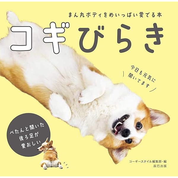 The great book of corgi コーギー　車　図鑑　限定版 CORGI TOYSによる公式ダイキャストモデル復刻版「コーギー