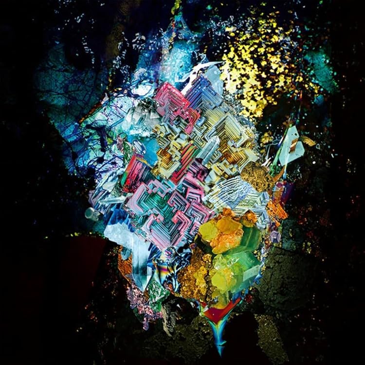 RADWIMPS 3 ~無人島に持っていき忘れた一枚~ アナログ盤 Amazon.co.jp: RADWIMPS3~無人島に持っていき忘れた一枚