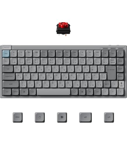 Amazon | Keychron Q9 52キー 40%レイアウト エンスージアスト