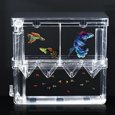 Amazon.co.jp 人気ギフトランキング: 魚繁殖用タンク で、ギフトの設定