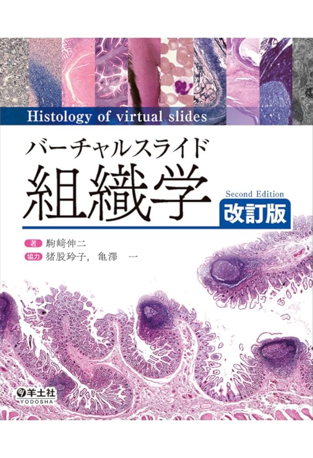 Ross組織学(原書第7版) | 内山 安男, 相磯 貞和, Wojciech Pawlina |本