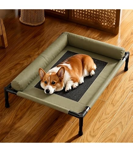 Amazon | 犬用ベッド 高架式 中型犬用 犬コット メッシュ ひんやり