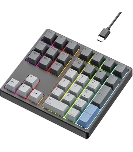クリーム色 テンキー付きキーボード Amazon.co.jp: NiZテンキー EC21-1M 【バックライト付き】21キー
