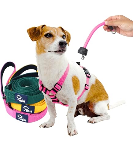 Amazon | Perfect Fit Harness パーフェクトフィットハーネス SSサイズ