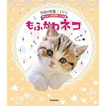 Amazon.co.jp: もふかわ ネコ : 山本宗伸, アジアキャットクラブ(ACC): 本