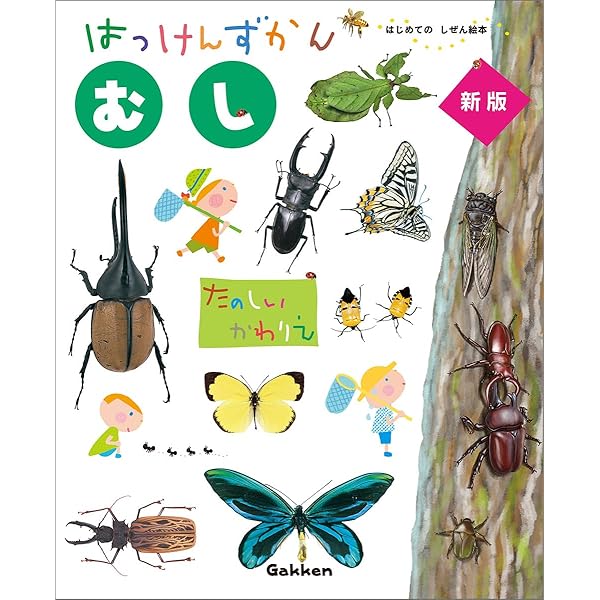 はっけんずかんシリーズ 6冊セット |本 | 通販 | Amazon
