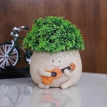 Amazon.co.jp: NINIPAPA 面白い植木鉢 かわいいスマイリー