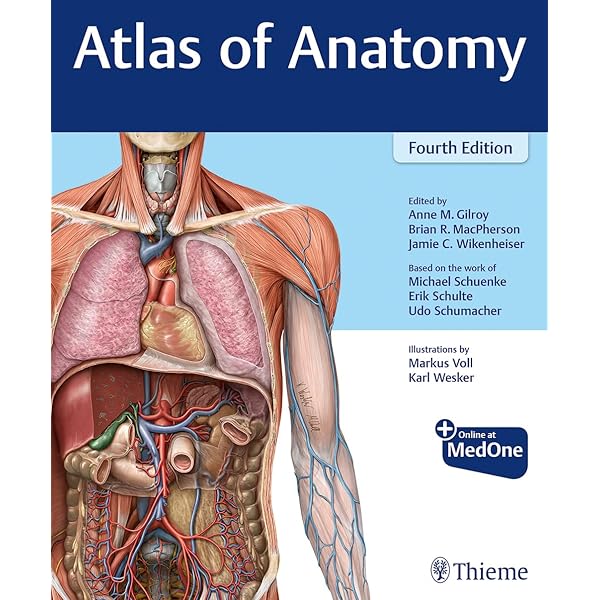 Atlas of Human Anatomy - Netter MD, Frank H. | 8600007152881