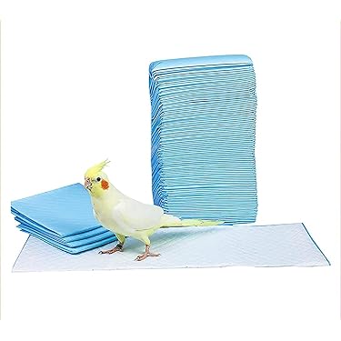 Amazon.co.jp 最新リリース: 鳥用品 の新着ランキングです。