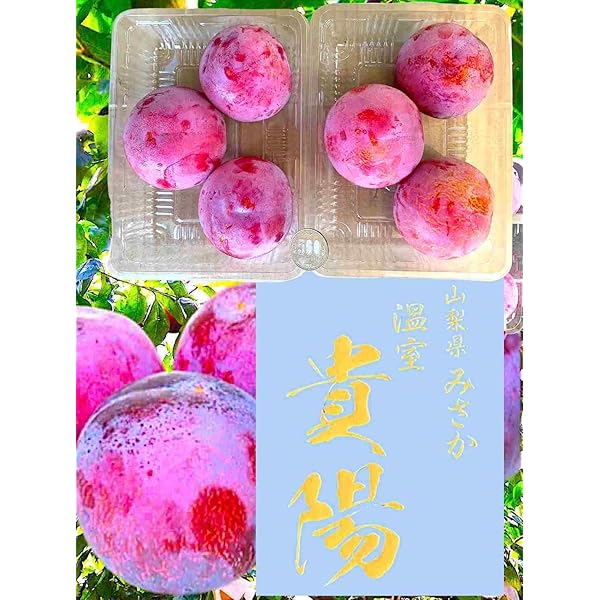 qumikmi　貴陽　自宅用　2箱 楽天市場】貴陽 2kgの通販