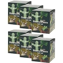 ビザールプランツ　バスボール　24個1箱BOX付き 入浴剤 ビザールプランツバスボール 24個入セット